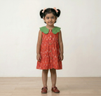 Pure Ikkat Frock with Contrast Collar